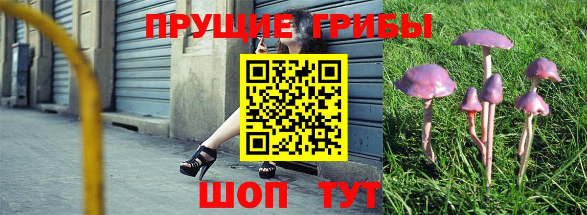 Пушкино  магазин  наркотиков  Вход с VPN  Псилоцибиновые грибы Psilocybine cubensis 